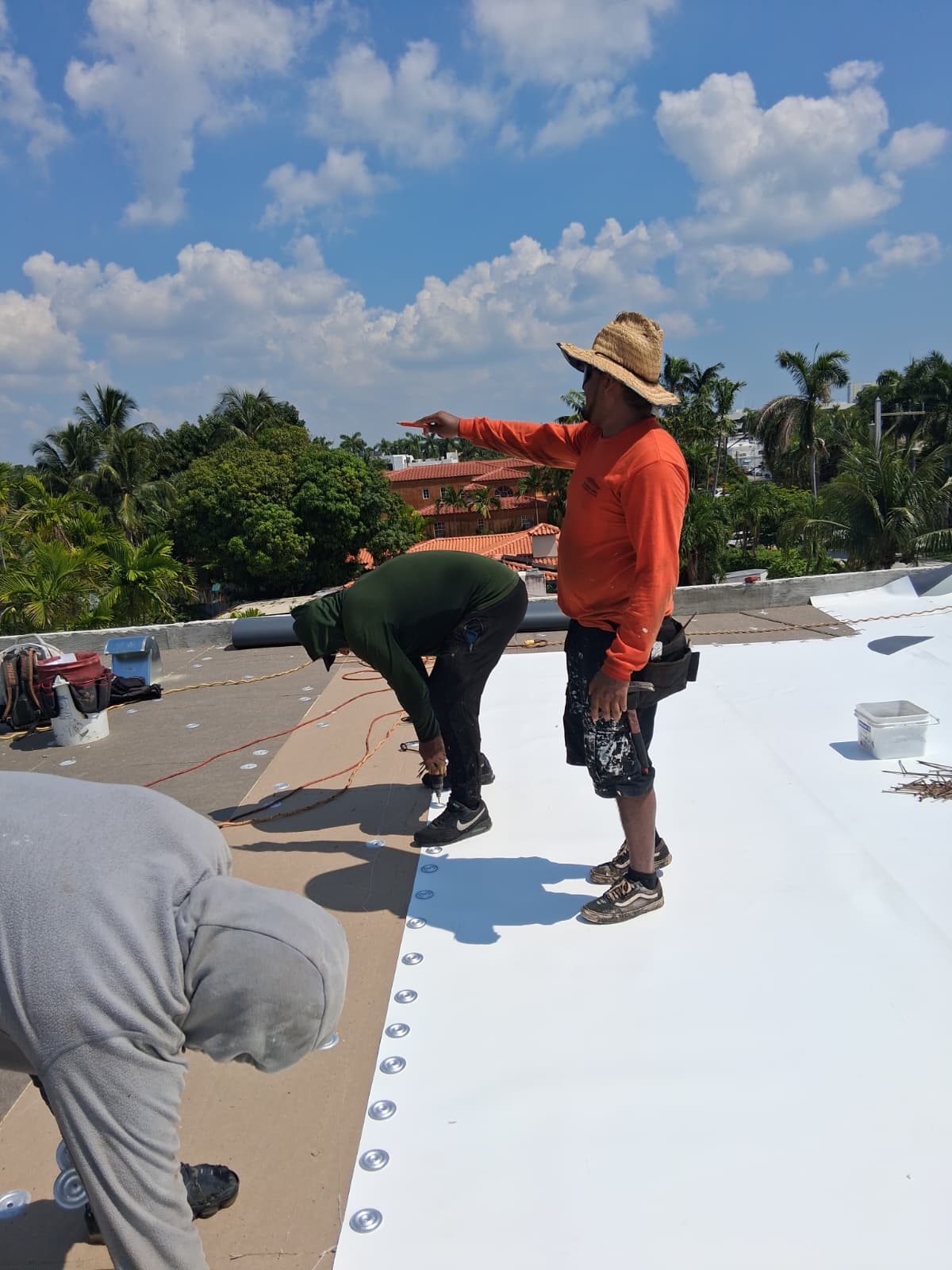 Aging TPO & PVC Single Ply Restoration