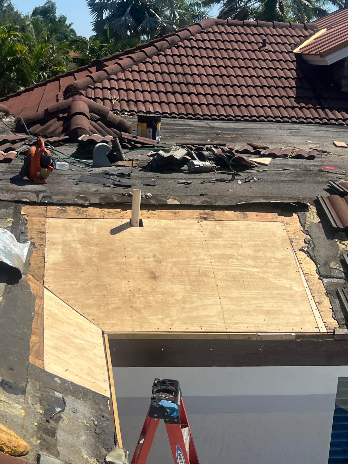 New Plywood Sheathing Re-Nailing